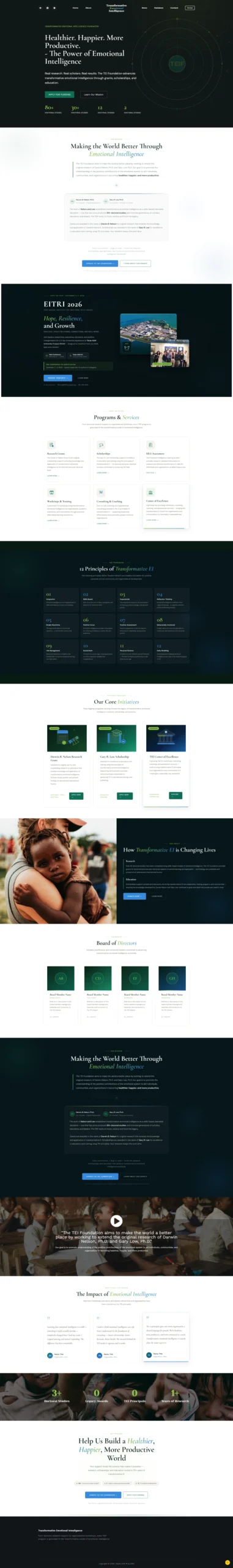 TEIF Landing Page screenshot